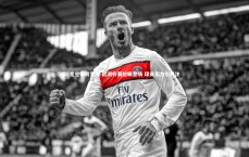 星空体育官网-欧洲杯赛抢眼登场 球员实力引关注