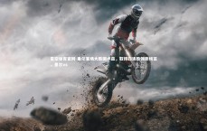 星空体育官网-里尔客场大胜图卢兹，取得四连胜领跑榜首，里尔vs