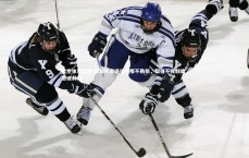 星空体育官网-恩波利客场逼平那不勒斯，取得不败战绩，恩波利ds