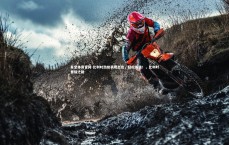 星空体育官网-比利时劲旅表现出色，轻松晋级！，比利时晋级之路