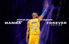 星空体育官网-绿茵场上的精湛对决，球队凭借高水准表现勇夺胜利