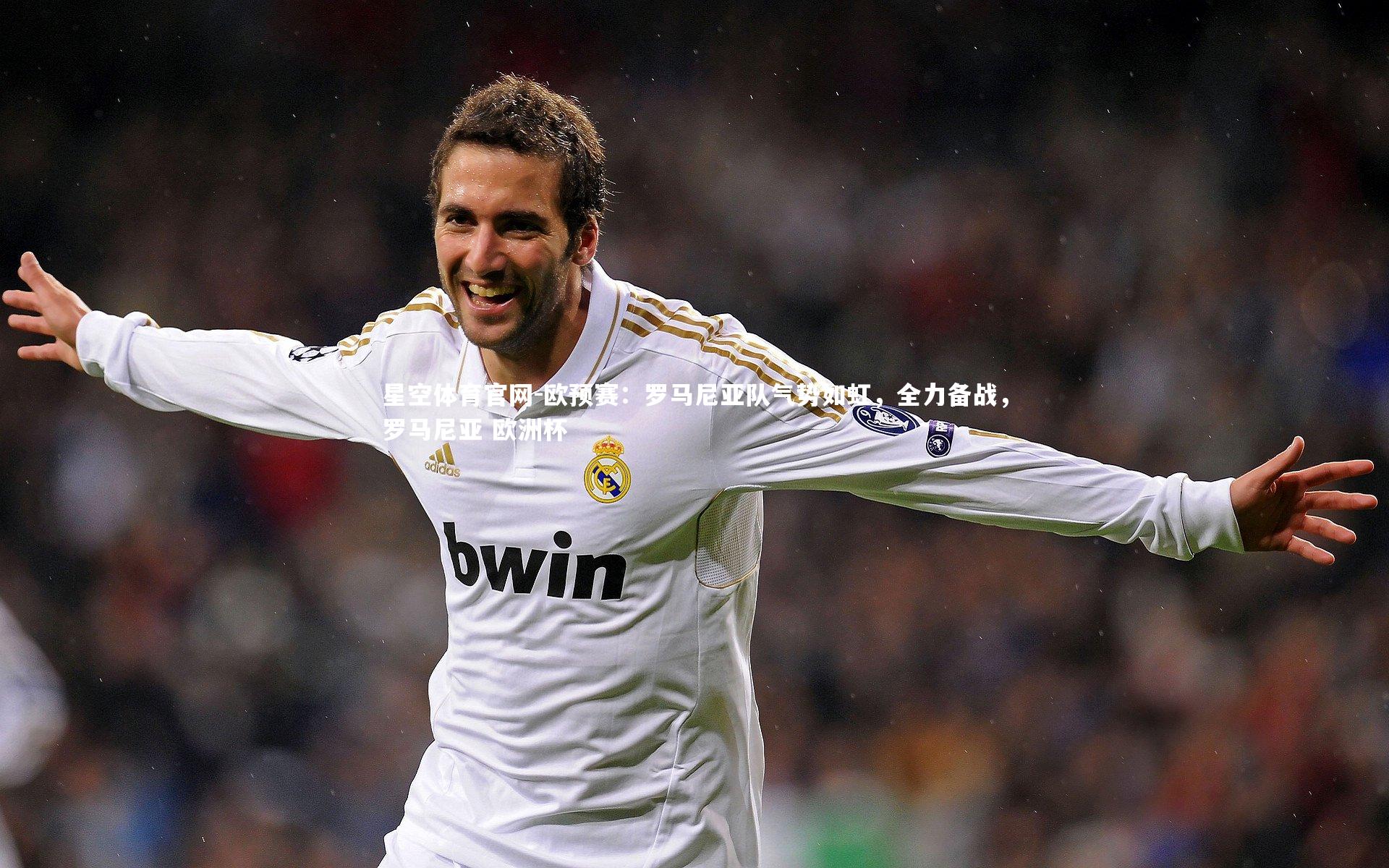 欧预赛：罗马尼亚队气势如虹，全力备战，罗马尼亚 欧洲杯