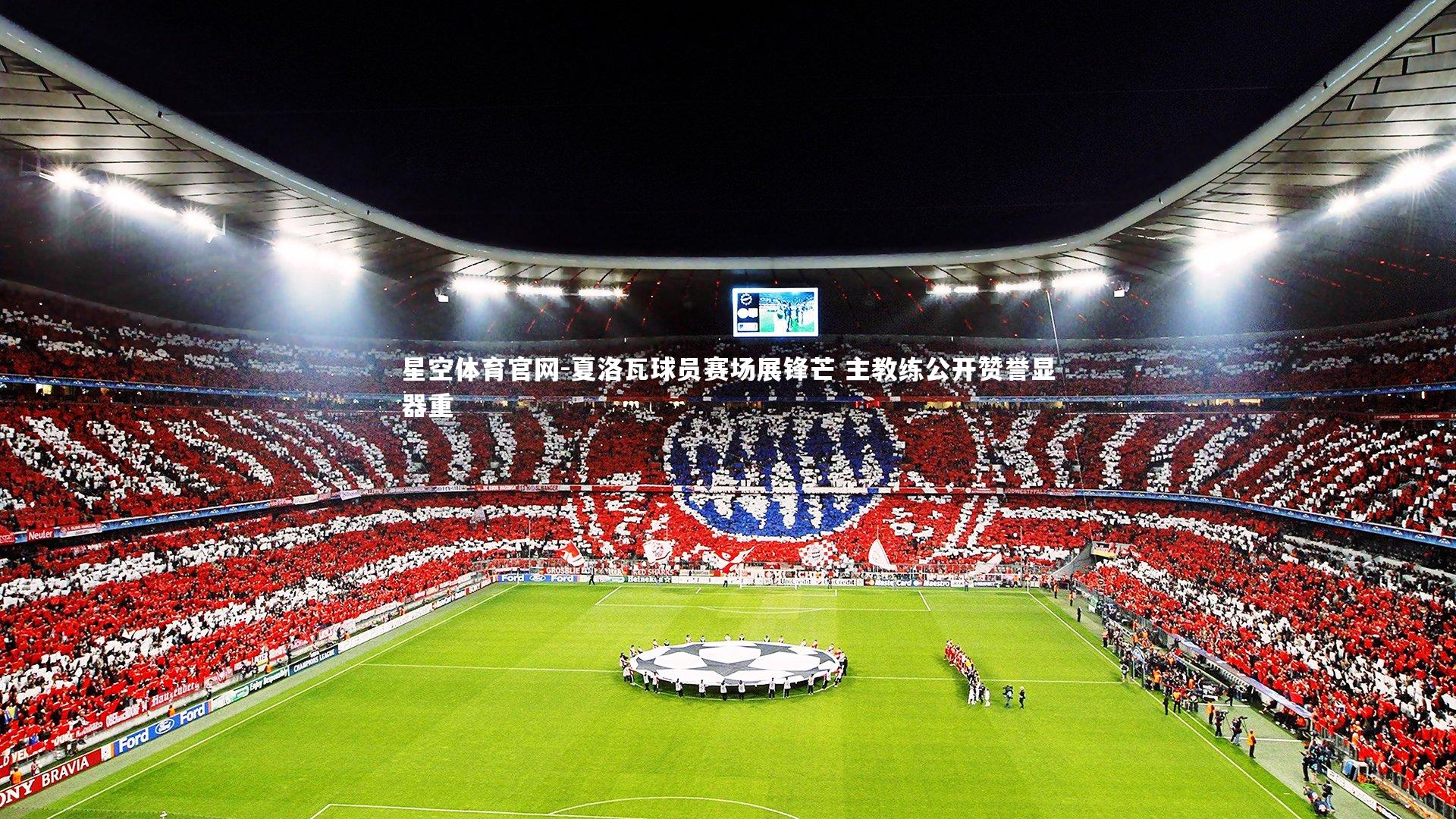 夏洛瓦球员赛场展锋芒 主教练公开赞誉显器重